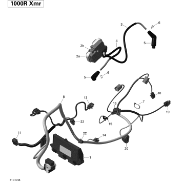 10- Engine Harness and Electronic Module - XMR