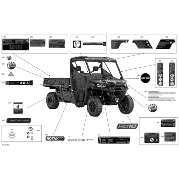 07- Body - Decals - DPS