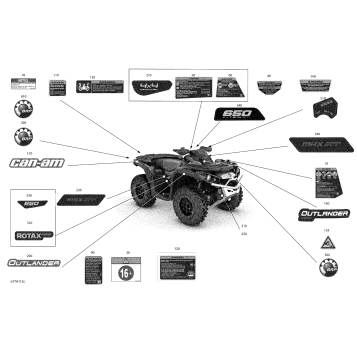 07- Body - Decals - XT
