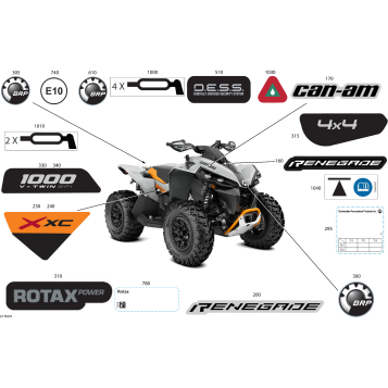 07- Body - Feature Decals