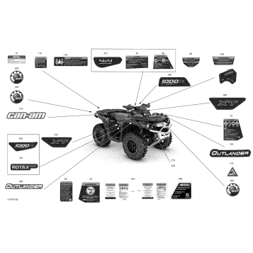07- Body - Decals - XT
