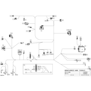 08- Electric - Main Harness - 710008828