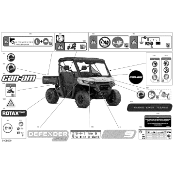 07- Body - Decals
