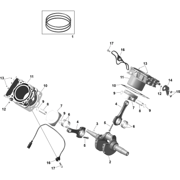 01- ROTAX - Crankshaft, Pistons and Cylinder