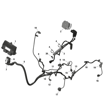 01- ROTAX - Engine Harness And Electronic Module