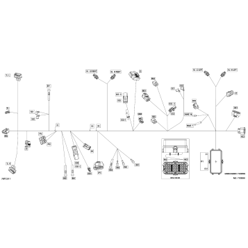 08- Electric - Main Harness - 710008559