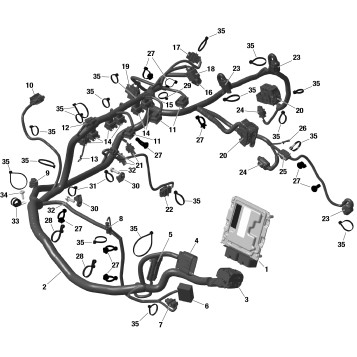 01- ROTAX - Engine Harness And Electronic Module