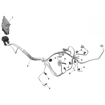 01- ROTAX - Engine Harness And Electronic Module