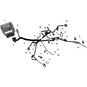01- ROTAX - Engine Harness And Electronic Module