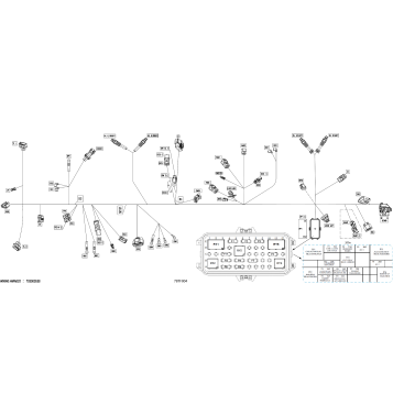 08- Electric - Main Harness - 710009777