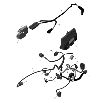 01- ROTAX - Engine Harness And Electronic Module