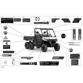 07- Body - Decals - XT