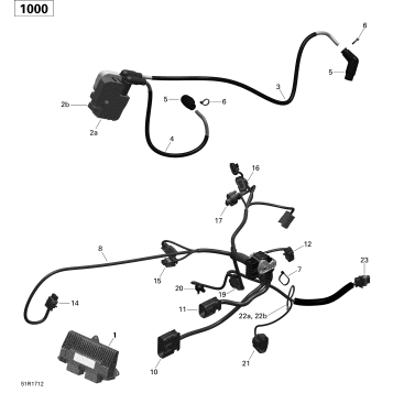01- ROTAX - Engine Harness and Electronic Module