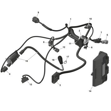 01- ROTAX - Engine Harness And Electronic Module