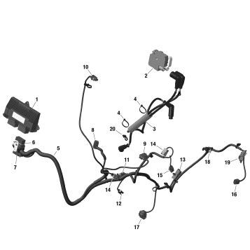 01- ROTAX - Engine Harness And Electronic Module
