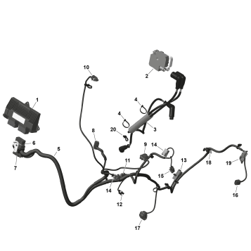 01- ROTAX - Engine Harness And Electronic Module