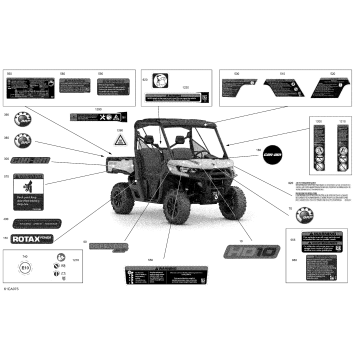 07- Body - Decals - XT