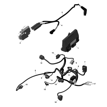 01- ROTAX - Engine Harness And Electronic Module