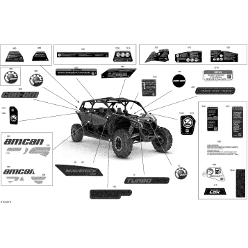 07- Body - Decals - XDS