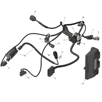 01- ROTAX - Engine Harness And Electronic Module