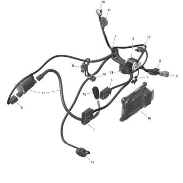 01- ROTAX - Engine Harness And Electronic Module
