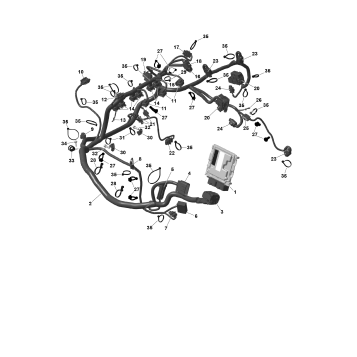 01- ROTAX - Engine Harness And Electronic Module