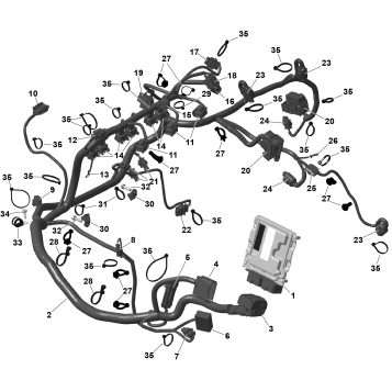 01- ROTAX - Engine Harness And Electronic Module
