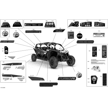 07- Body - Decals - RS