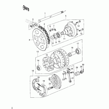 REAR HUB/BRAKE/CHAIN