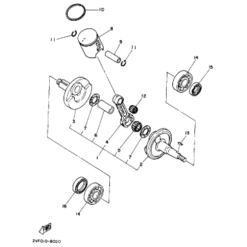 CRANKSHAFT-PISTON