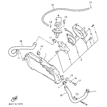 RADIATOR HOSE