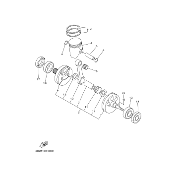 CRANKSHAFT PISTON