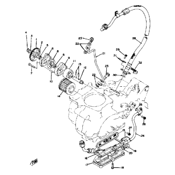 OIL PUMP - OIL FILTER