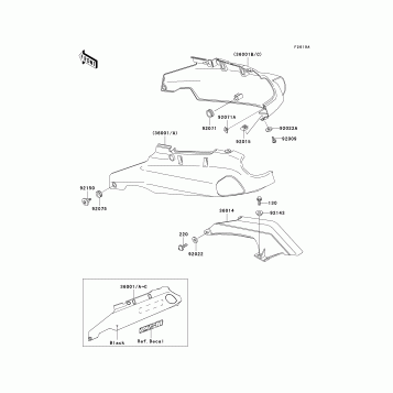 Side Covers/Chain Cover(ZX1100-D2)
