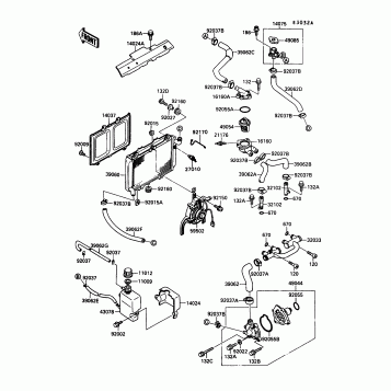 Radiator(C2,505601-)