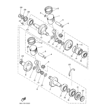 CRANKSHAFT PISTON