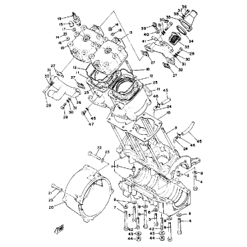 CYLINDER - CRANKCASE