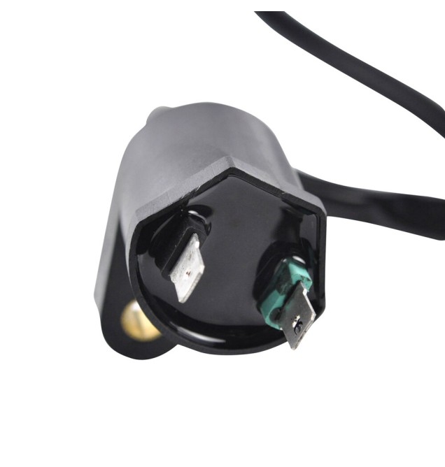 RM Stator Ignition Coils