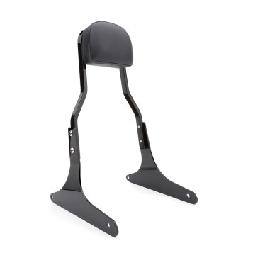 Short Sissy Bar