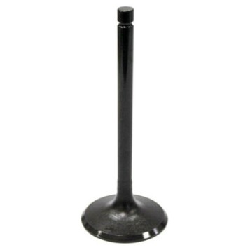 Exhaust Valve