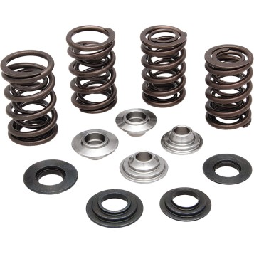 Valve Spring Kit