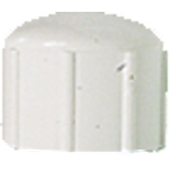 Container Filler Hose Screw Cap