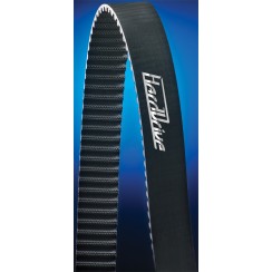 Rear Drive Belt