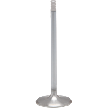White Diamond Intake Valve