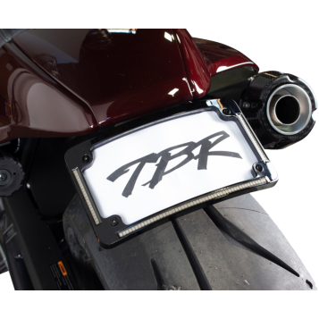 Fender Eliminator Kit