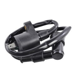 RM Stator Ignition Coils