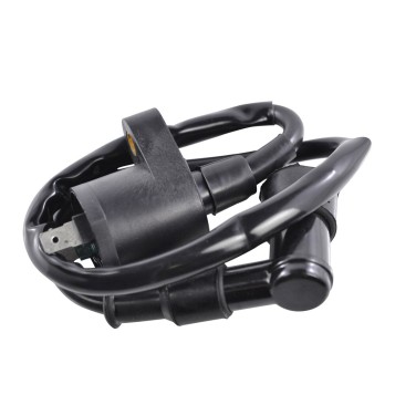RM Stator Ignition Coils