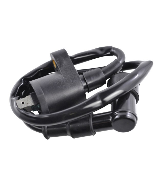 RM Stator Ignition Coils