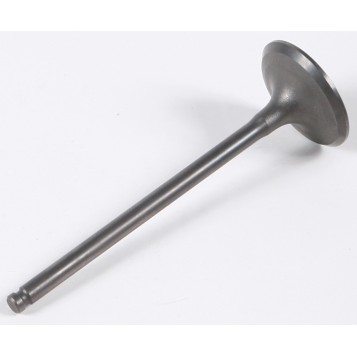 Intake Valve