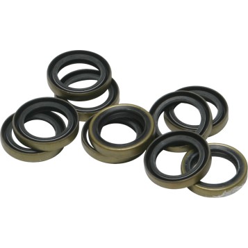 Twin Cam Oil Seal